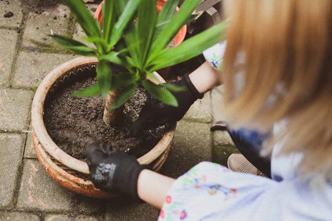 Eco-Friendly Cleaning Tips for Moms